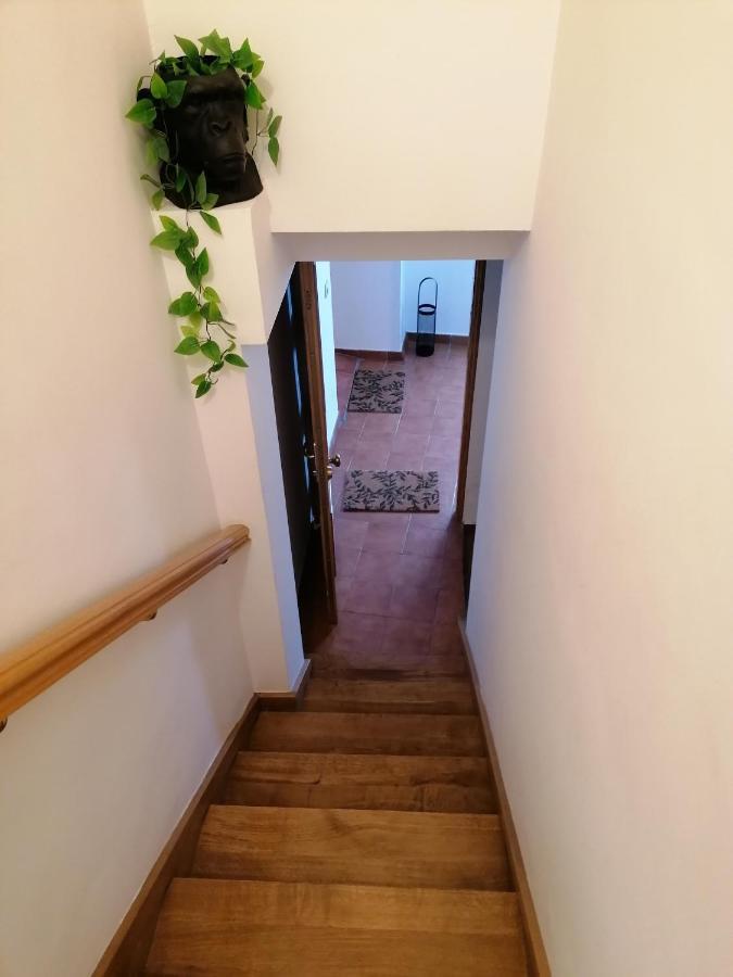 Monkeys House. Apartamento Vitoria-Gasteiz Exterior foto